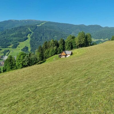 Sommerbild mit Blick zum Kreischberg