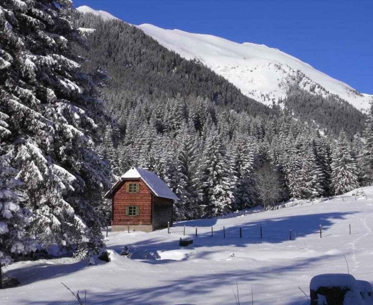 blauer Himmel  Pulverschnee