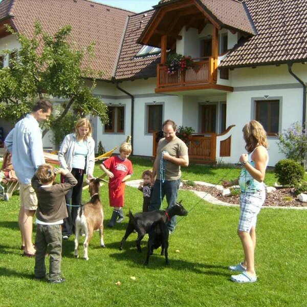 Ziegen vorm Gästehaus mit Kinder