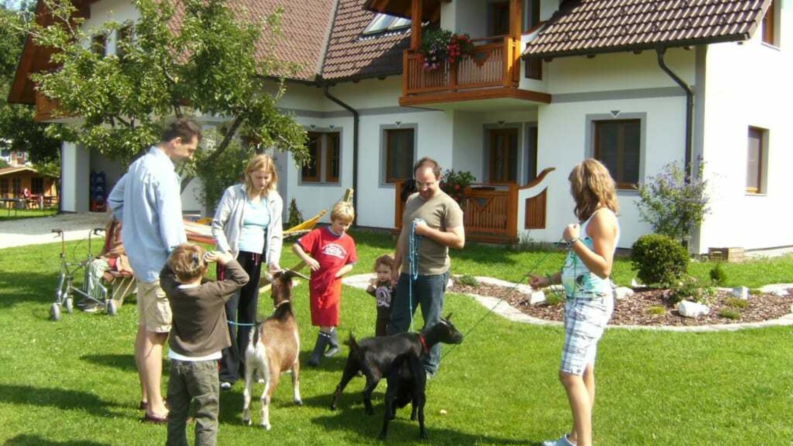 Ziegen vorm Gästehaus mit Kinder