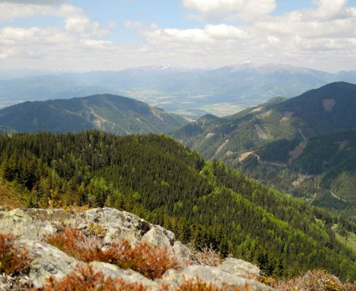 Blick in Richtung Aichfeld/Seckauer Tauern