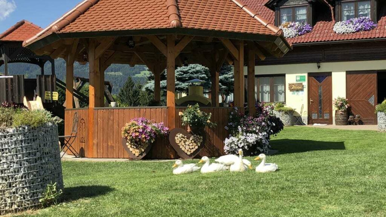 Unsere gemütliche Gartenlaube mit unseren Laufenten