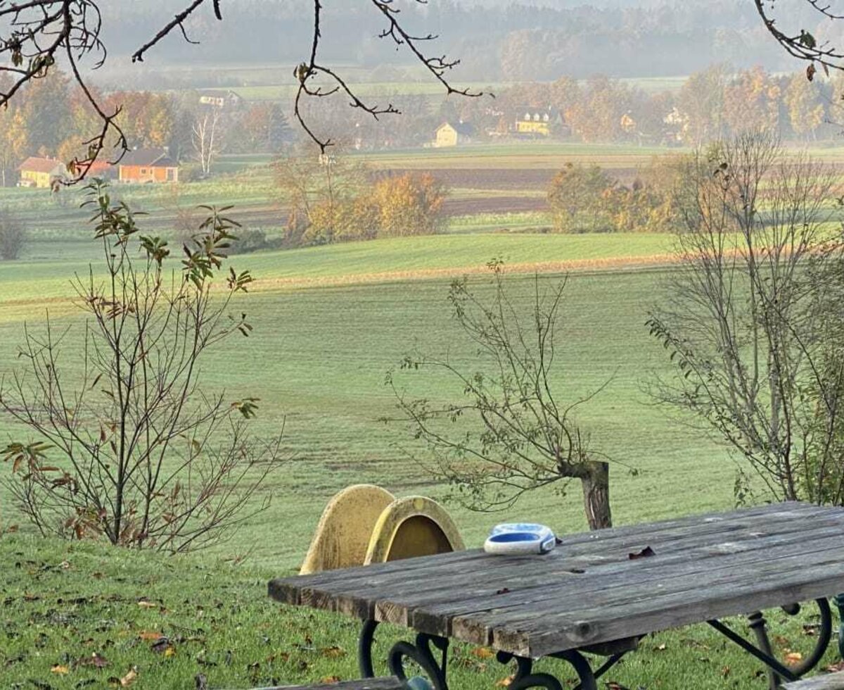 Augenblicke im Winter