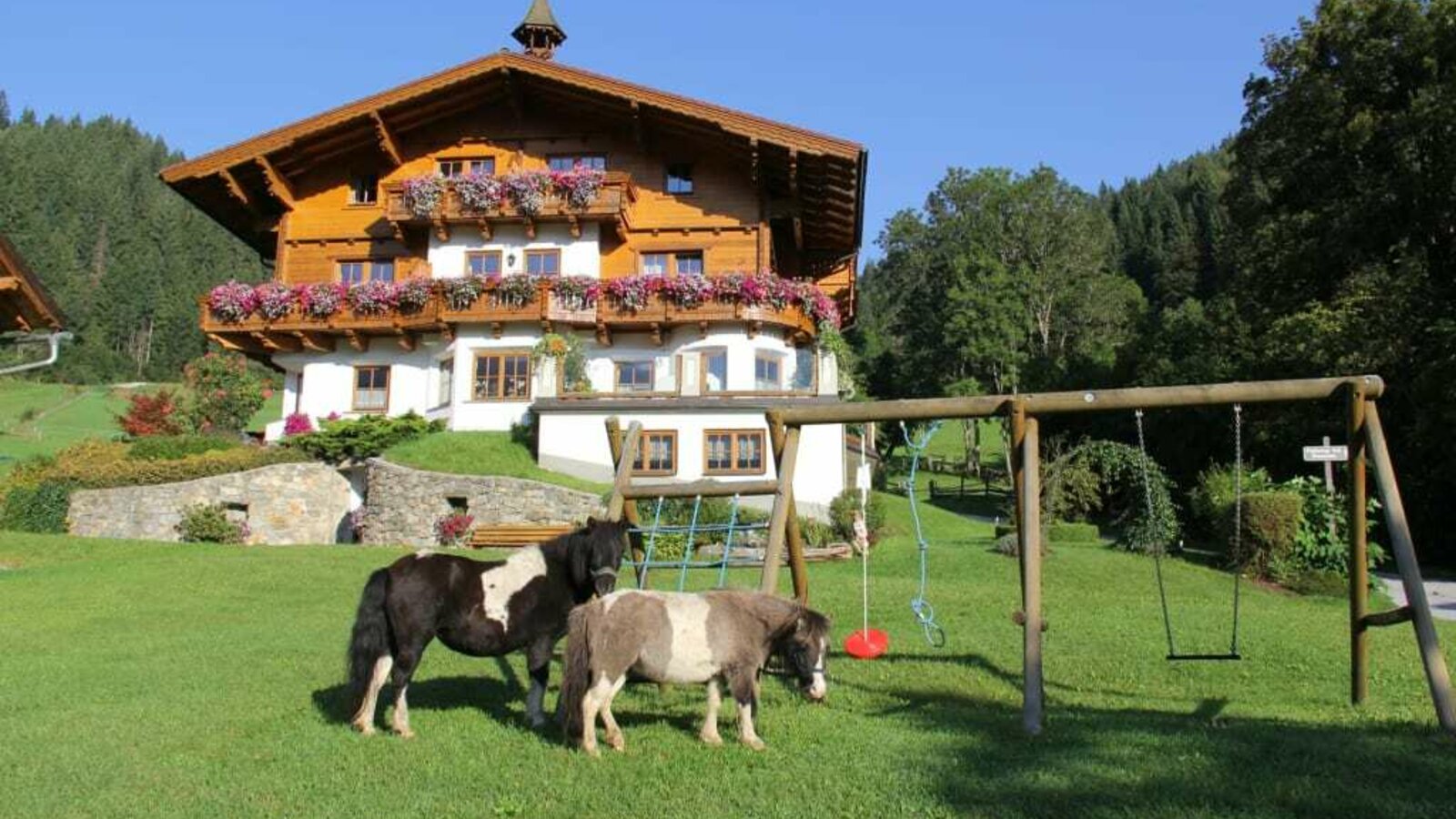 Appartementhaus mit Ponys