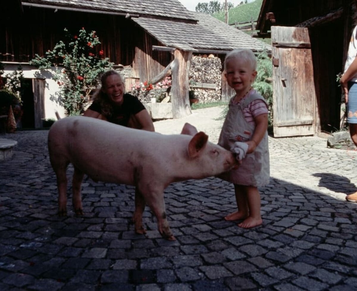 unser Hausschweinchen