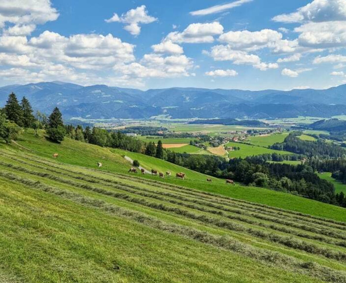 Heuernte mit Ausblick