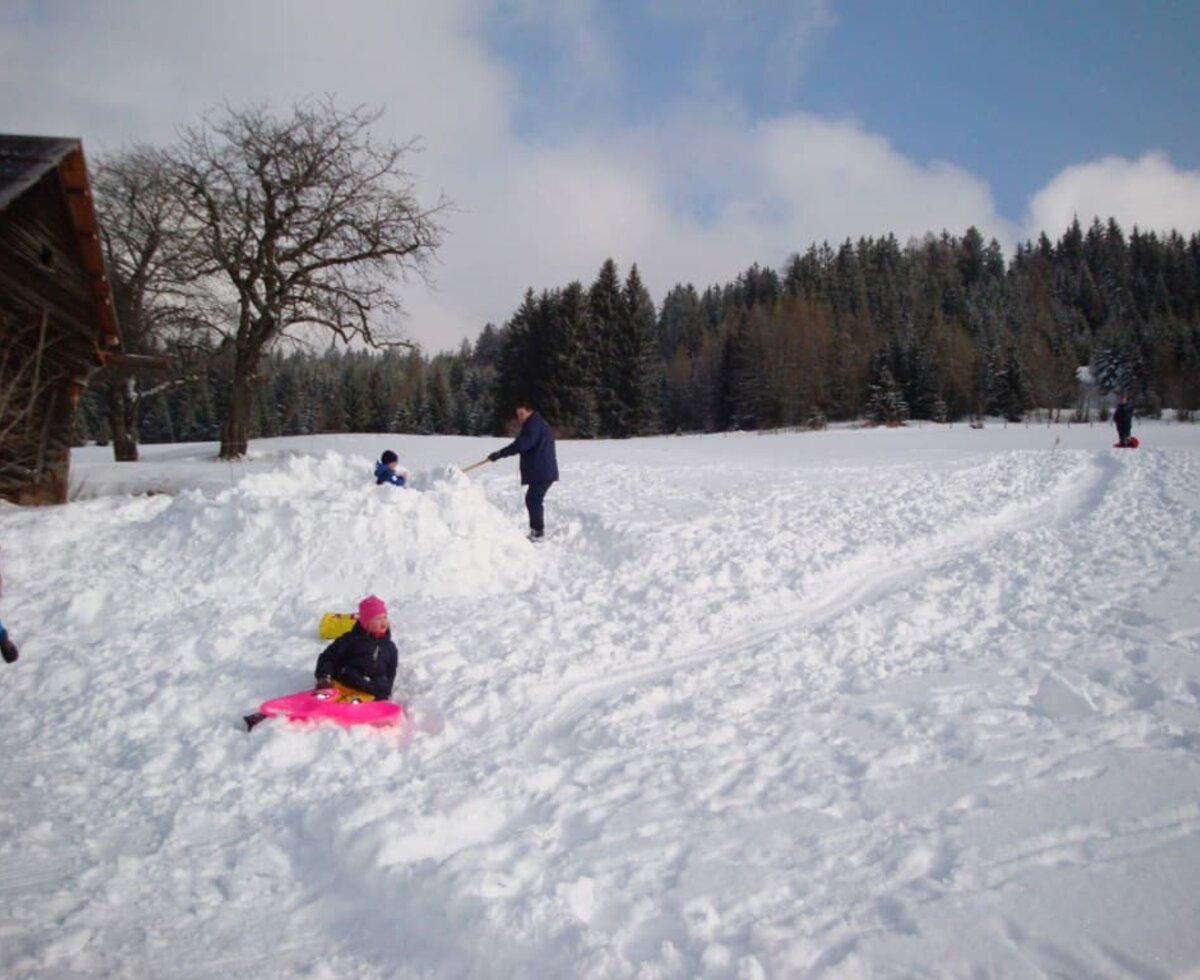 Winterspaß bei der Prosihütte