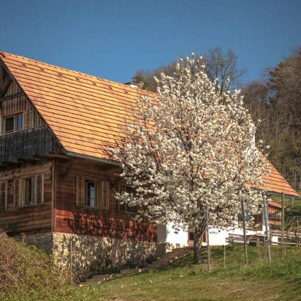 Ferienhaus am Rosenberg zur Kirschblüte