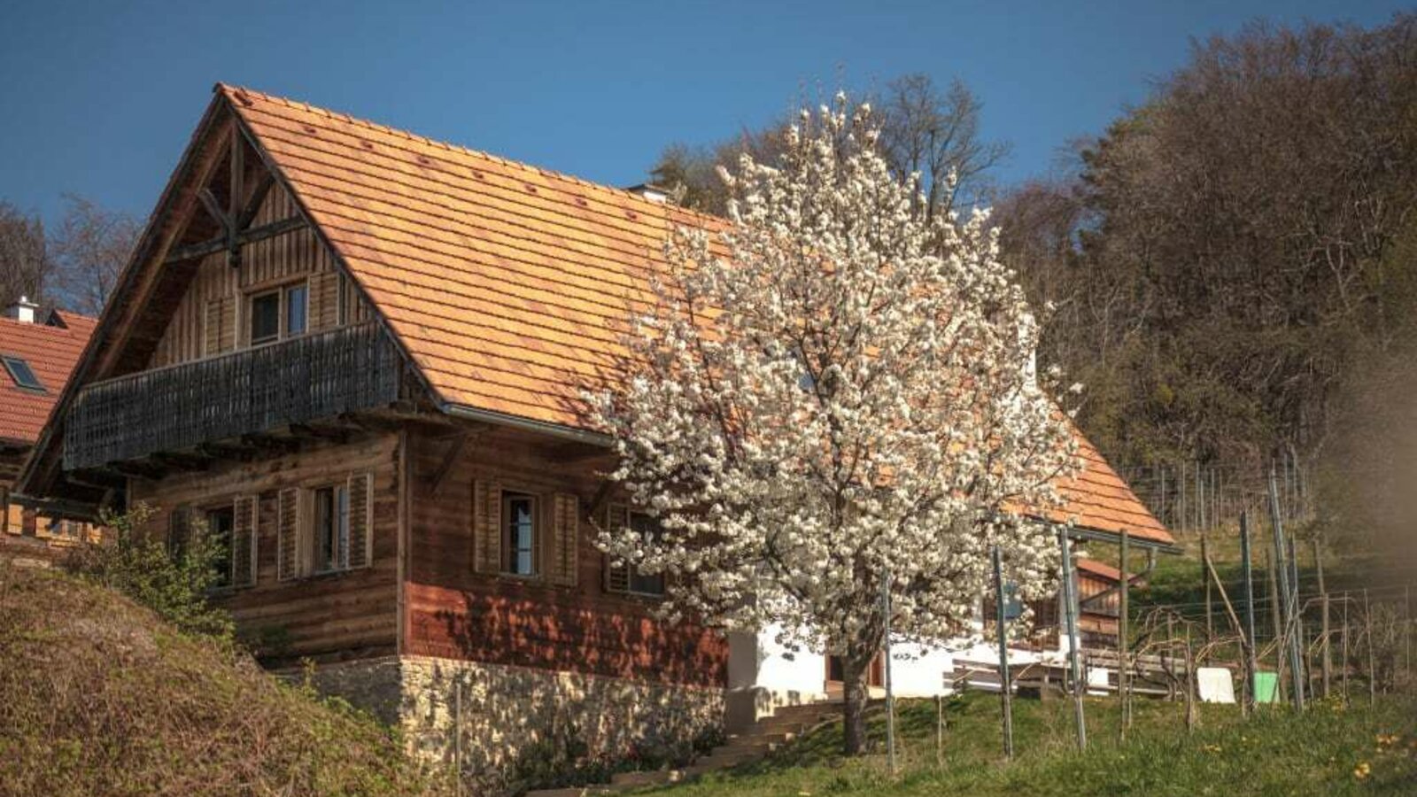 Ferienhaus am Rosenberg zur Kirschblüte