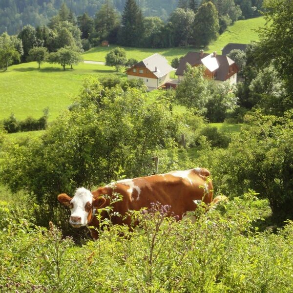 Landschaftsbild Heim