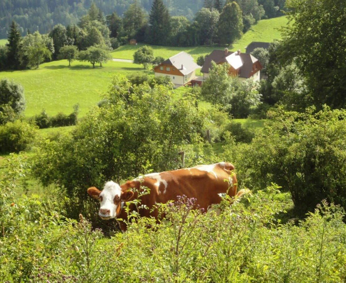 Landschaftsbild Heim