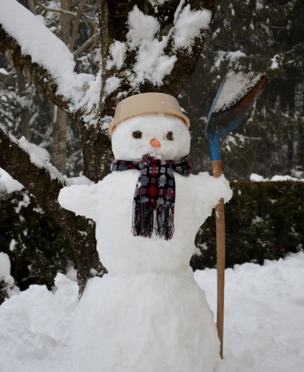 Schneemann - Winter im Almenland