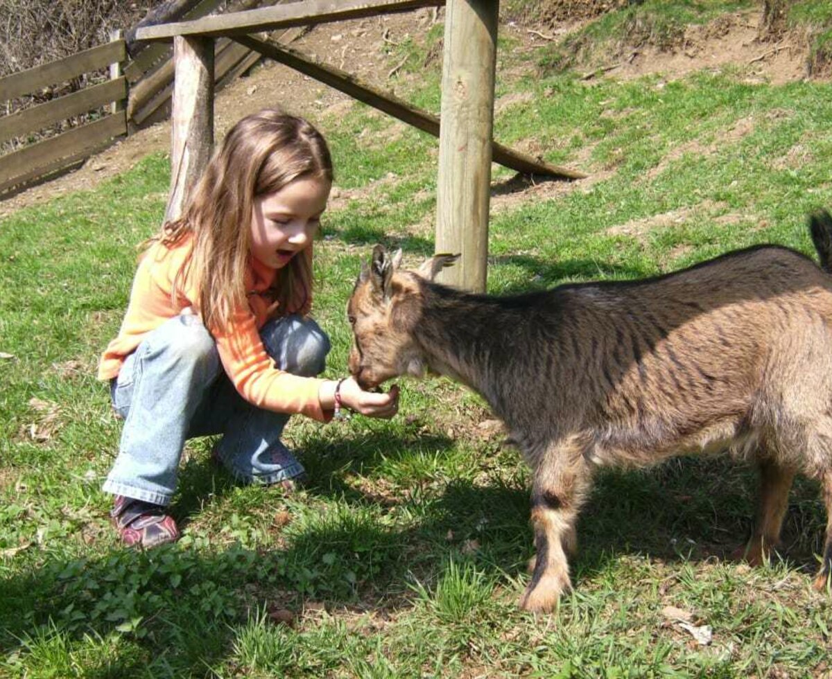 Freundschaft schließen