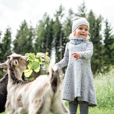 Neugierige Vierbeiner - Kinder & Babybauernhof Perhofer