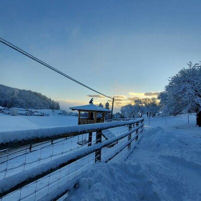 Ziegengehege im Winterschlaf