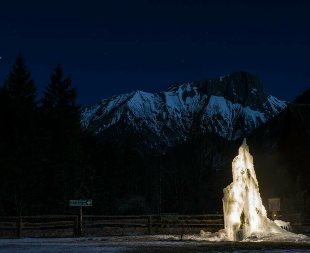 Der Eisbaum in der Nacht