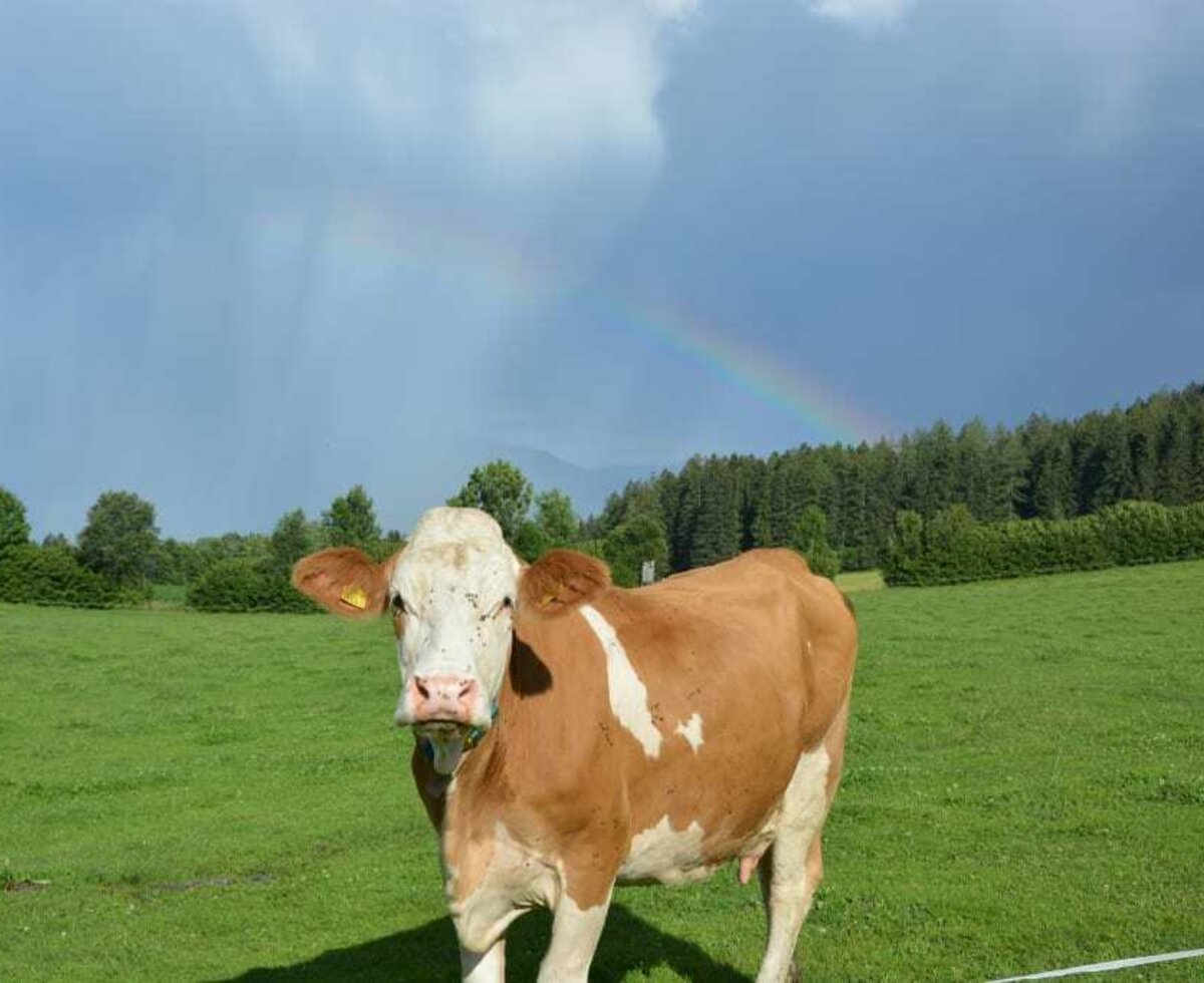 Paradies für Tier und Mensch