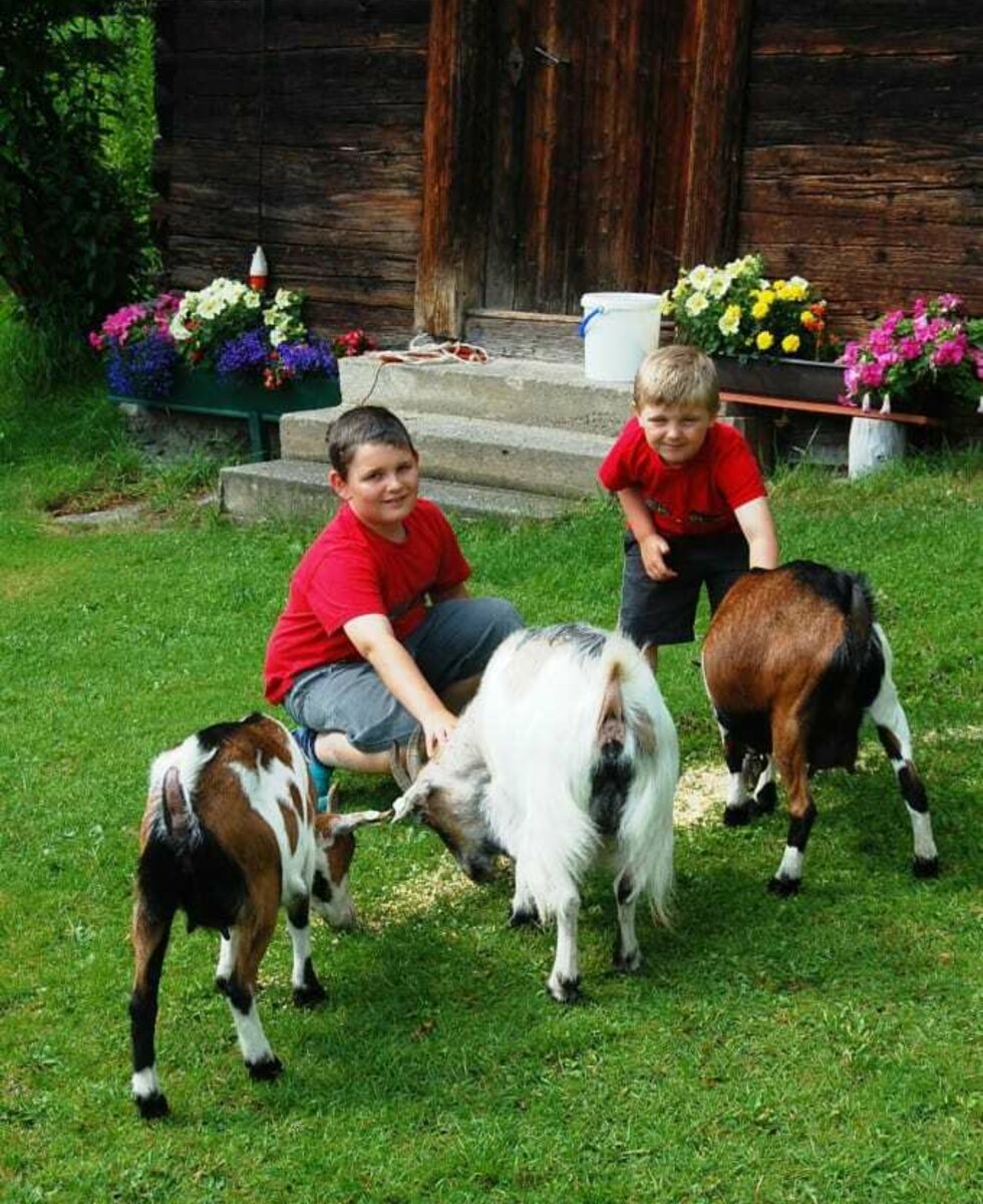 Kinder mit den Ziegen