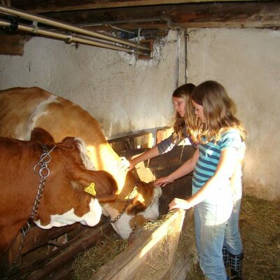 Die Kinder kümmern sich gerne um all unsere Tiere