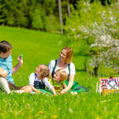 Picknick im Grünen