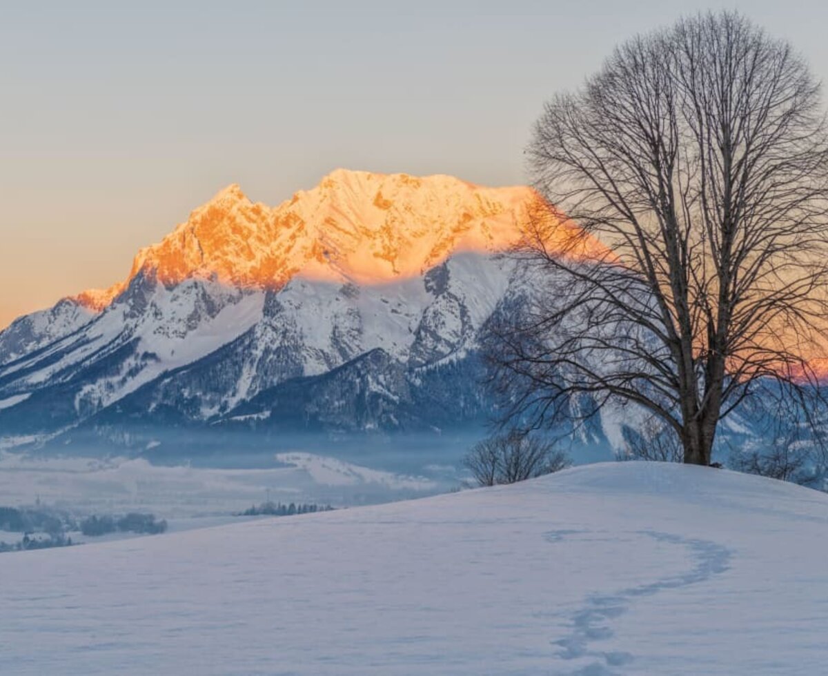 Winter unter der Linde