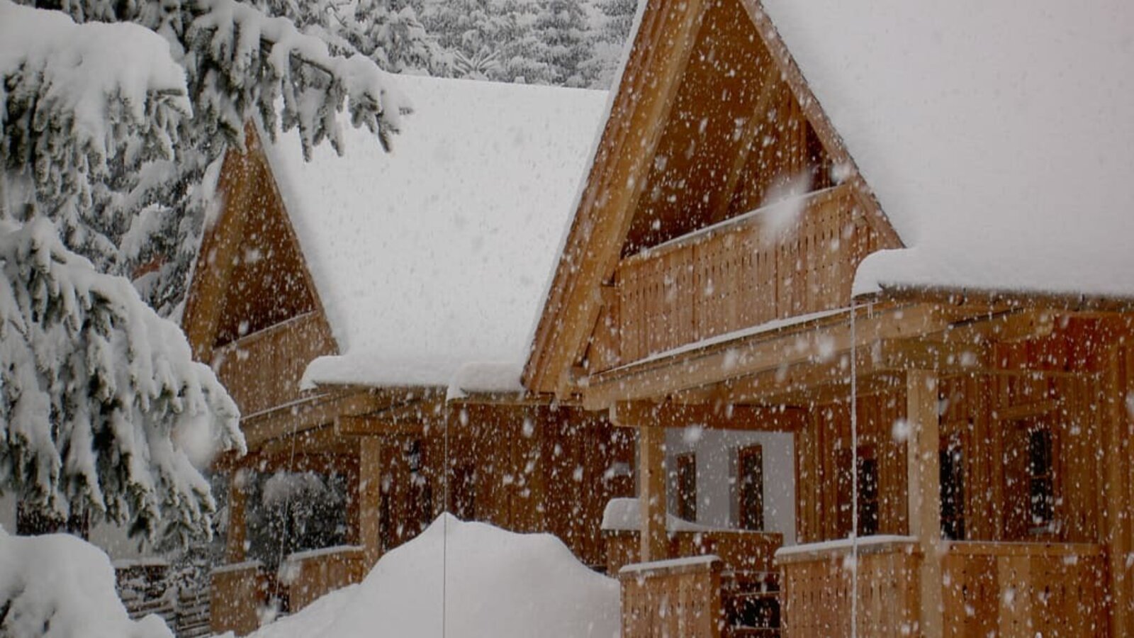 Ein Winter, wie er im Buche steht