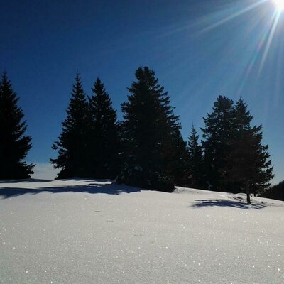 Winter auf der Alm