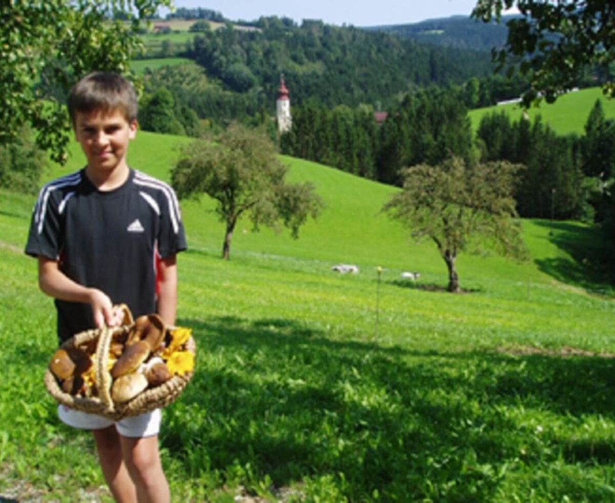 große Ausbeute