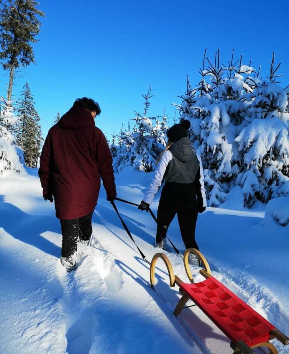 Der Rabenwald, unser Hausberg, perfekt zum Winterwandern und Rodeln