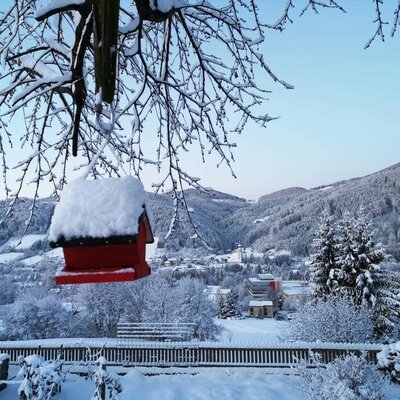 Ausblick vom Garten auf den Markt Anger