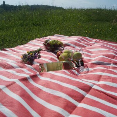 Picknick mitten in der schönen Natur