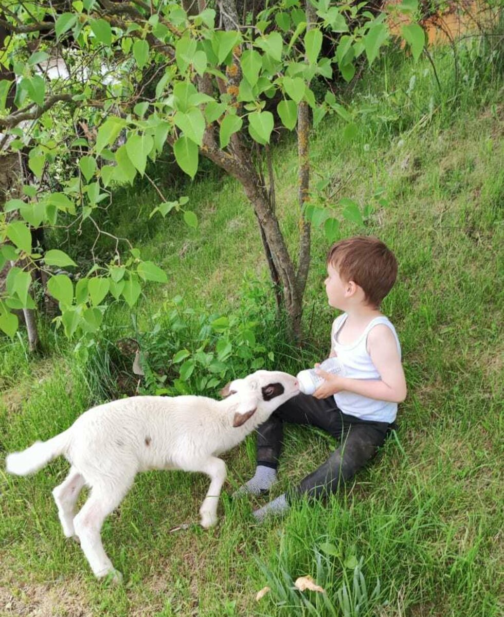 unsere Tiere werden liebevoll gefüttert