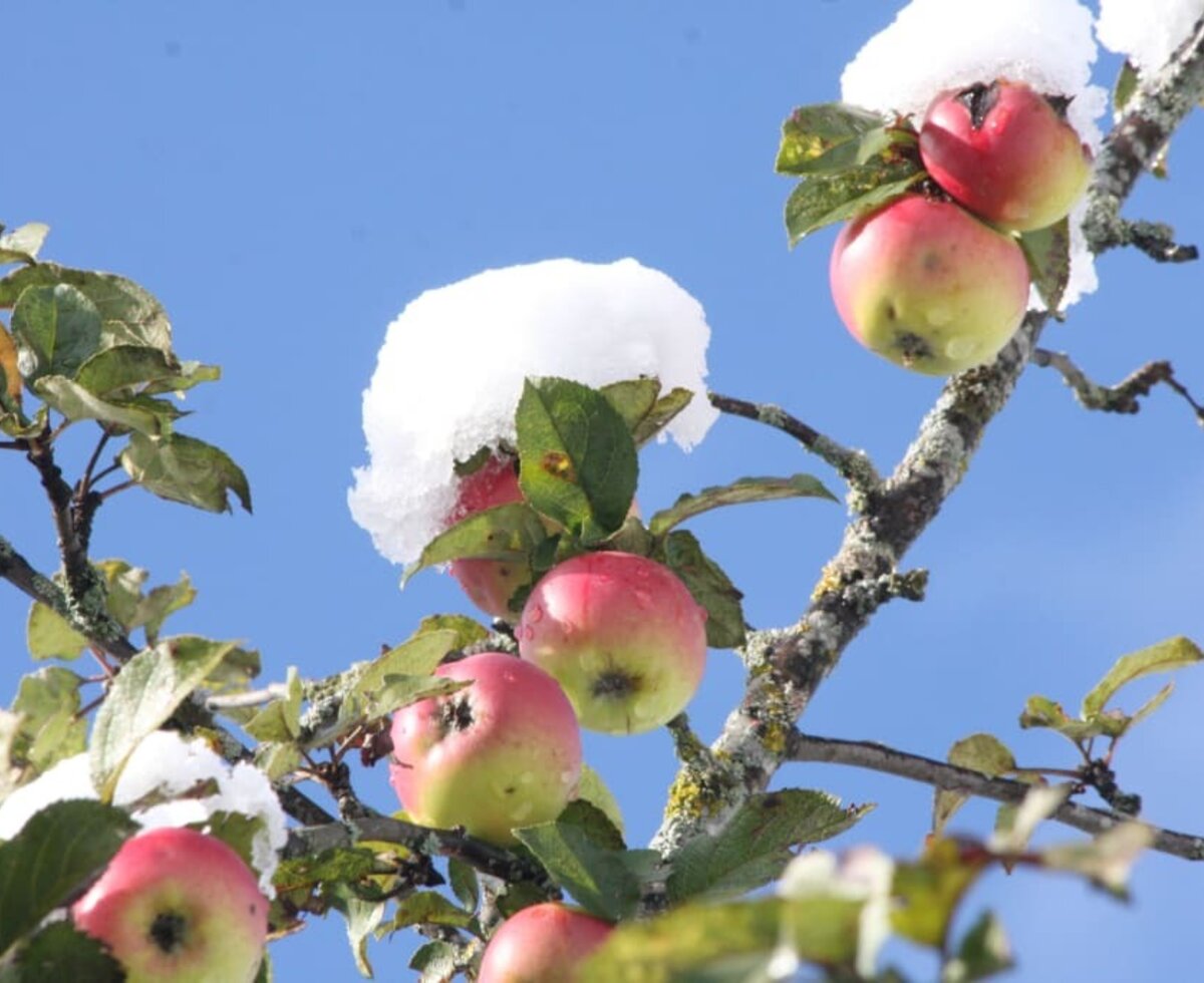 Natur wie sie ist