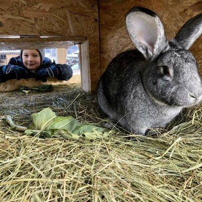 Besuch im Hasengehege. Beste Zeit zum Kuscheln.