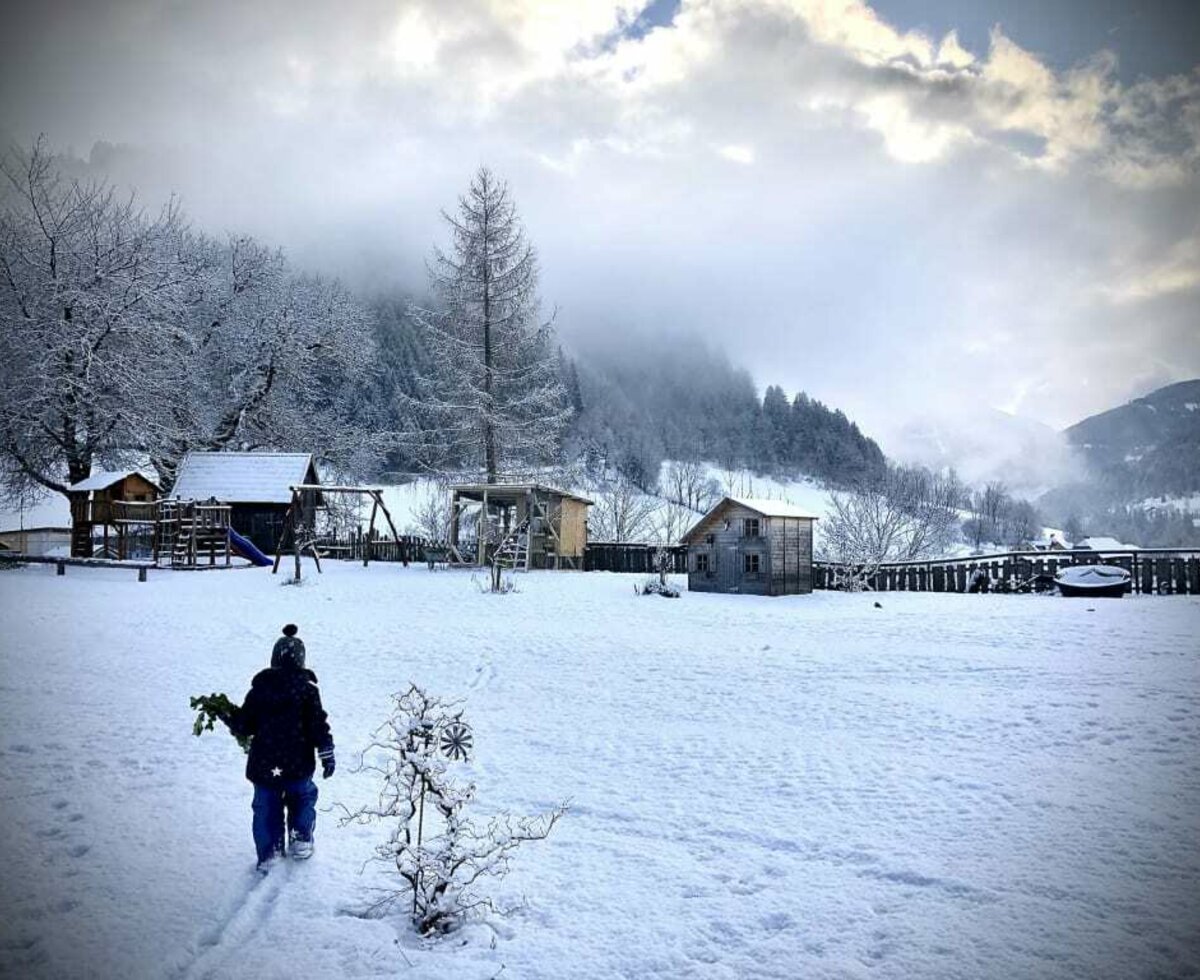 Winterlandschaft am Hof. Die Hasen bekommen etwas Grün aus dem Gewächshaus.