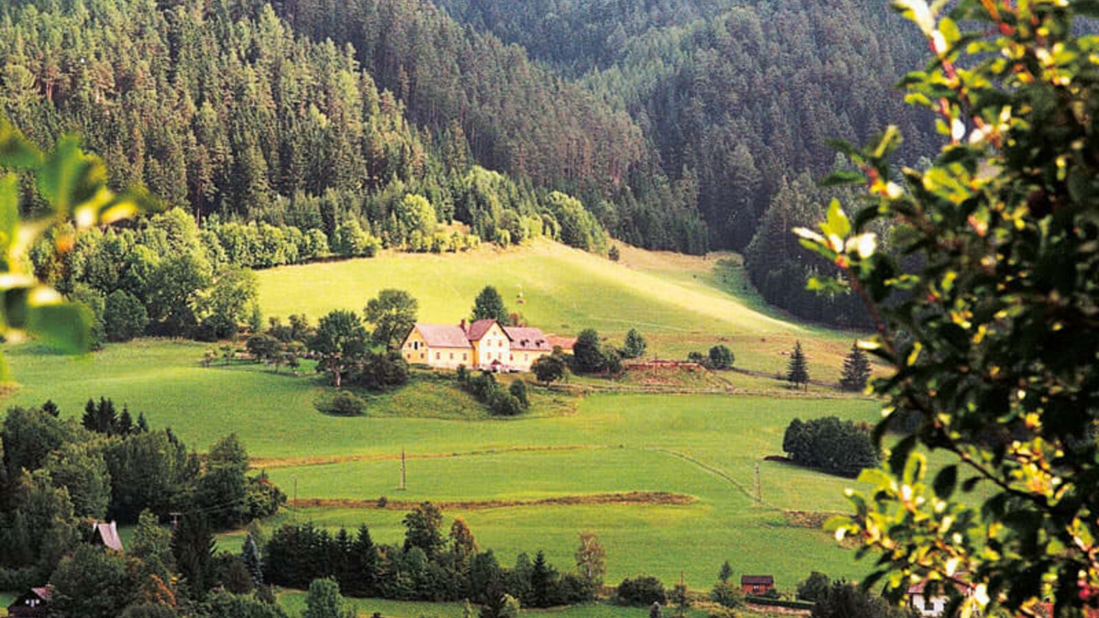 Das Marx Bauernhaus im Sommer