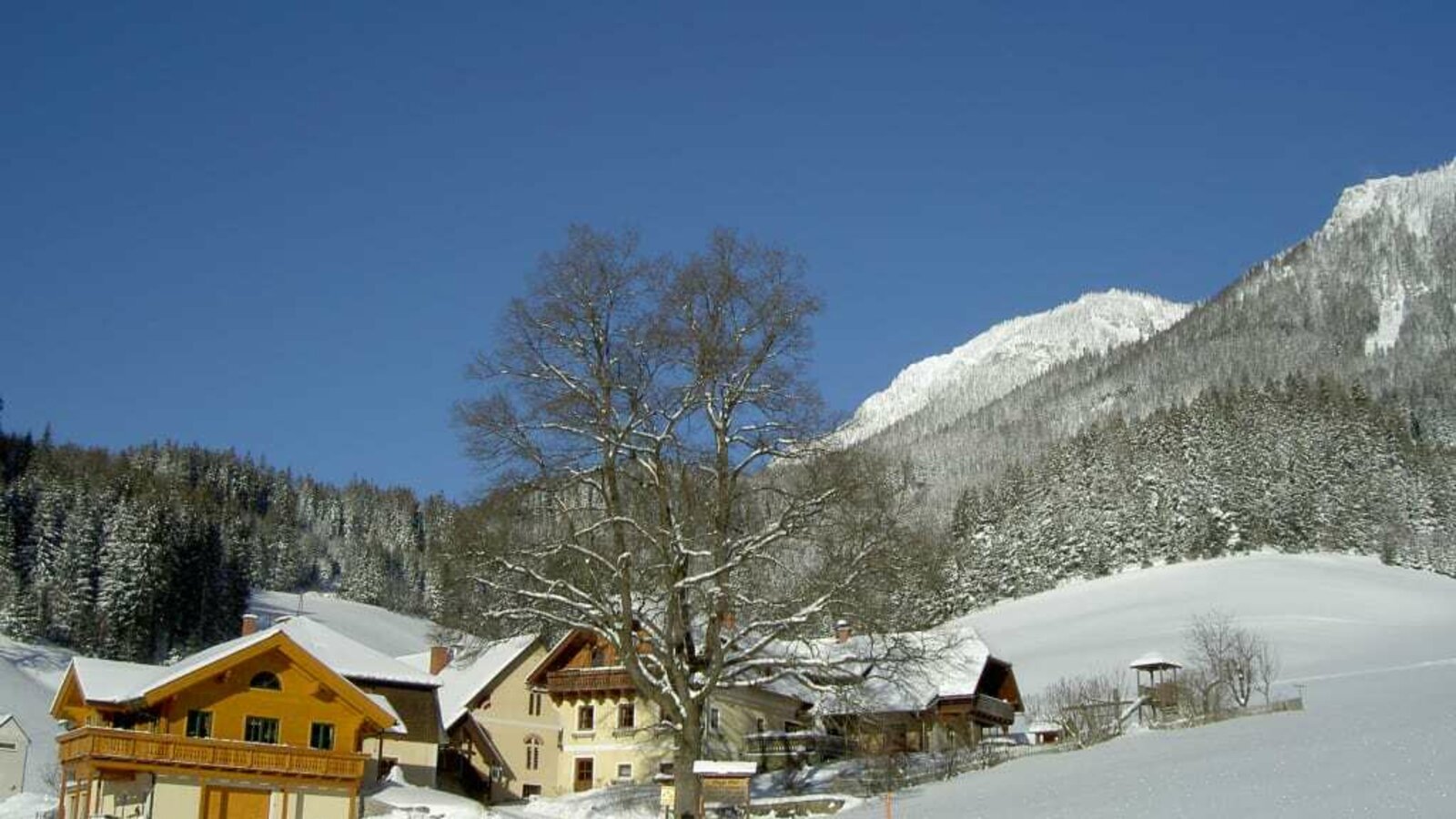 Winter am Michlbauerhof