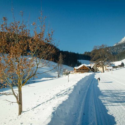 Winter am Michlbauernhof