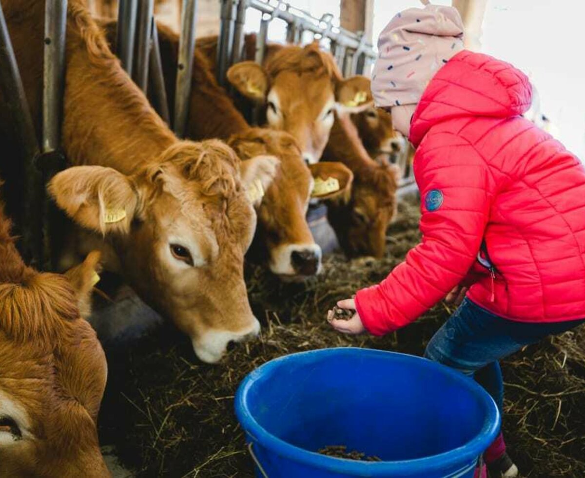 Tiere füttern