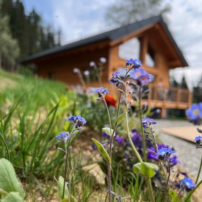 Blick zum Chalet im Frühling