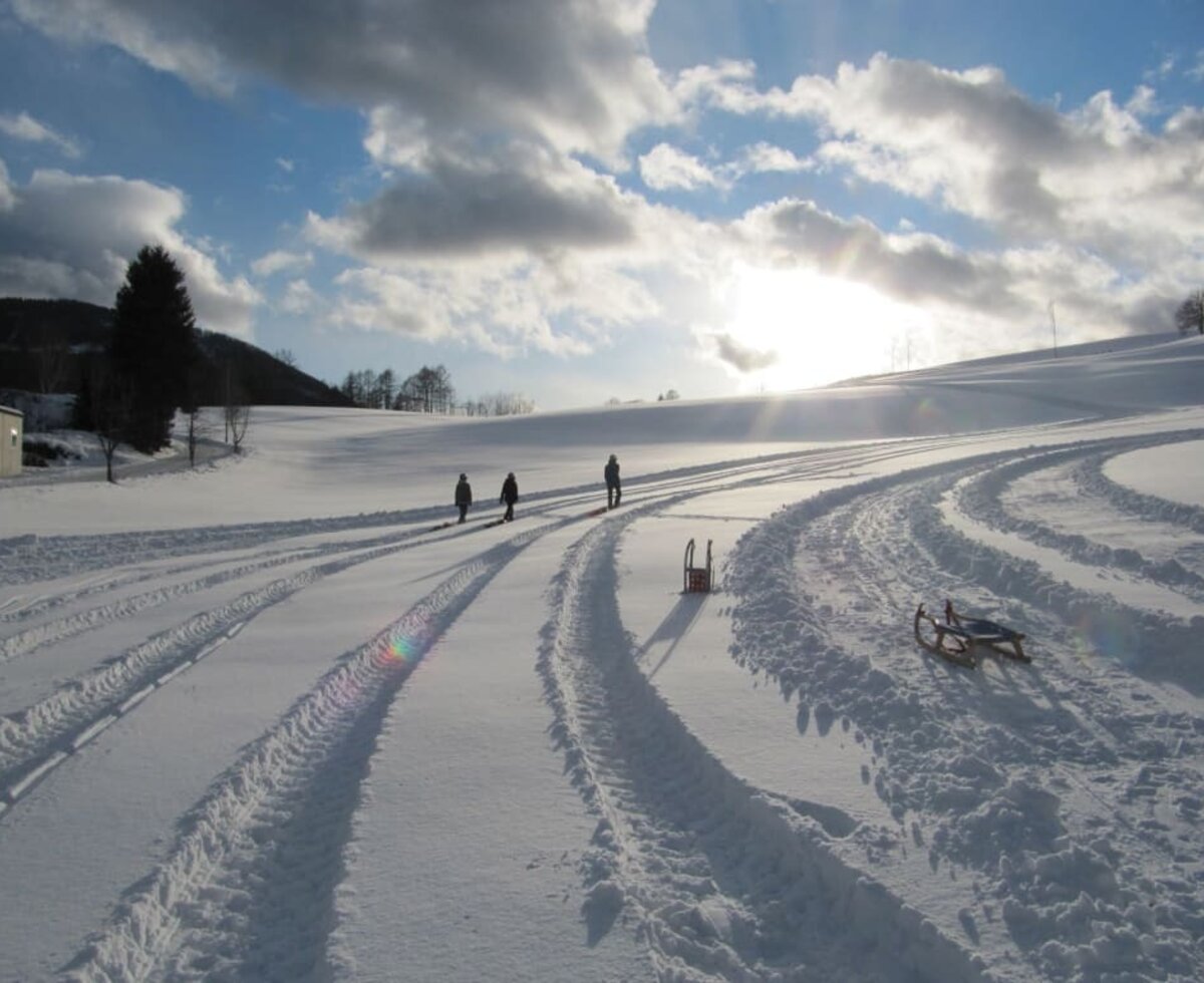 Kuhle Naturbobbahn