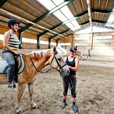 Reitstunden in der Halle