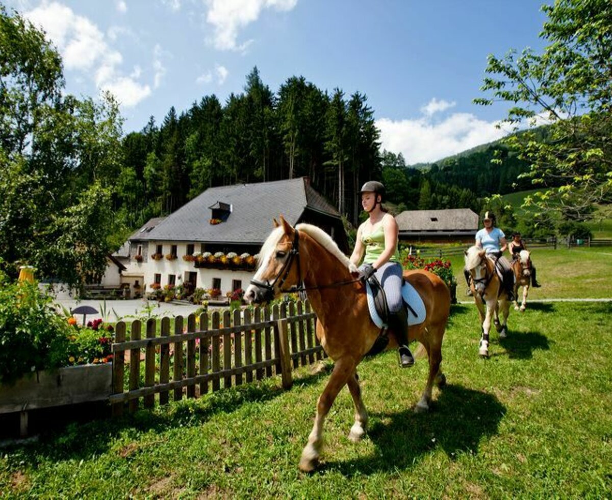 Bauernhof mit Ausritt