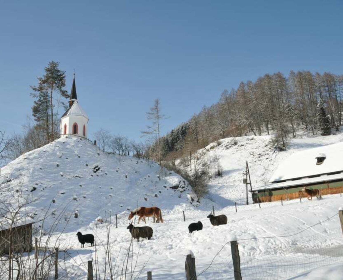 Unsere Tiere im Winter