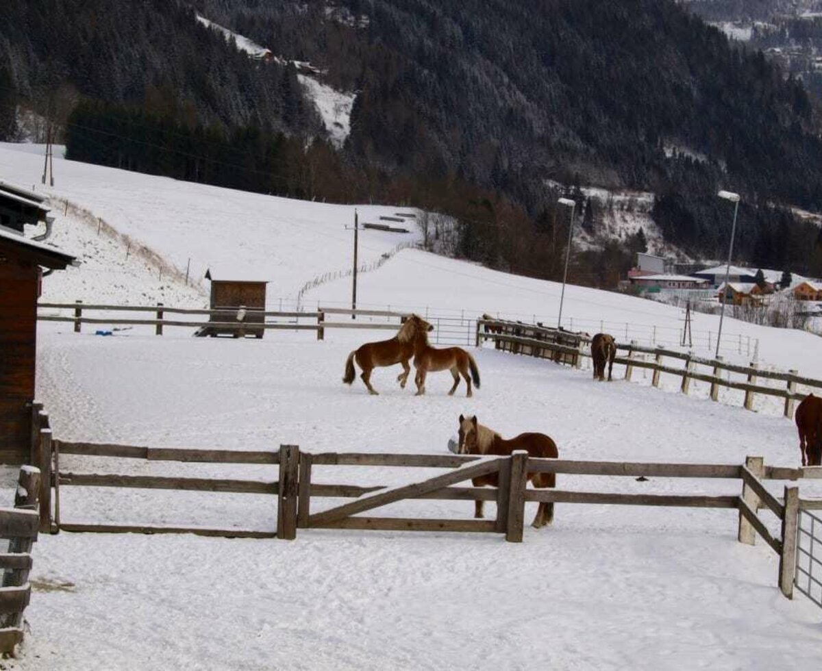 Auch im Winter ist es schön