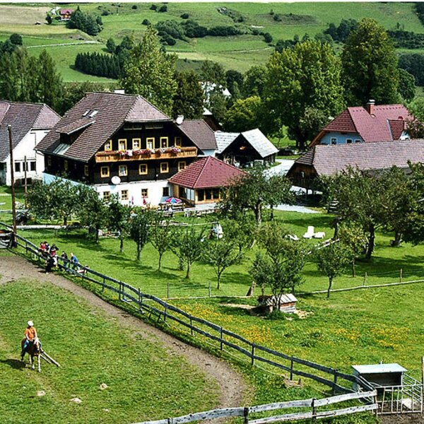 Blick auf den Reitplatz, Reitbauernhof Zechnerhof, St. Georgen