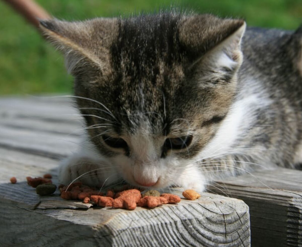 Frische Luft macht hungrig