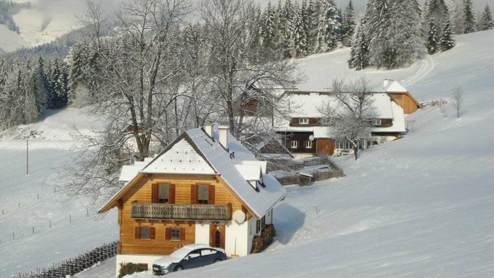 Ferienhaus im Hintergrund unser Bauernhaus