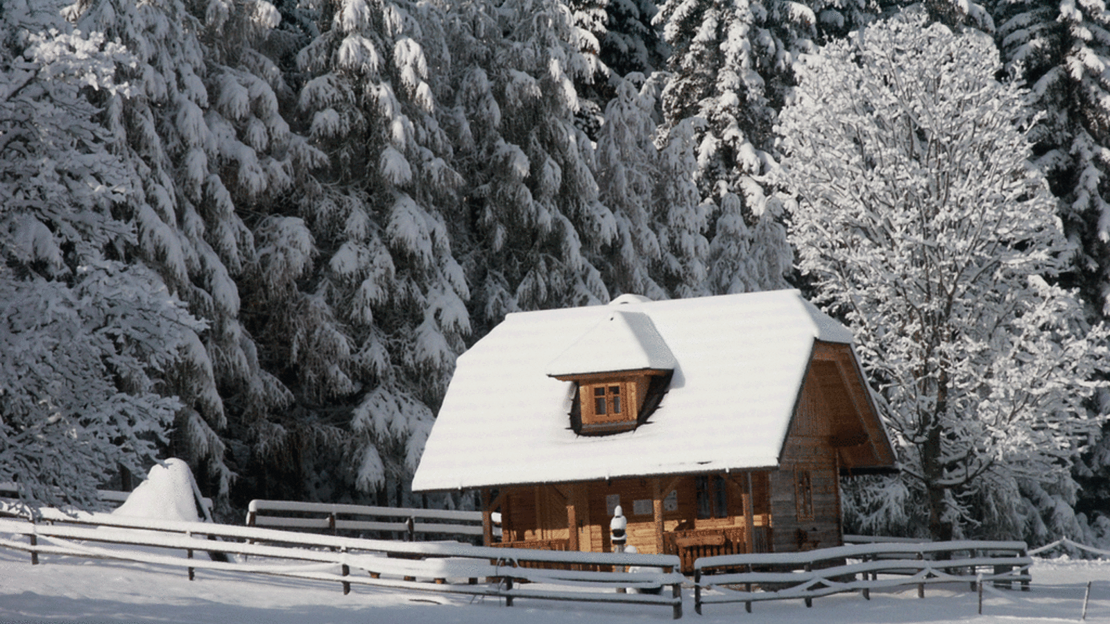 die Köhlerhütte im Winter