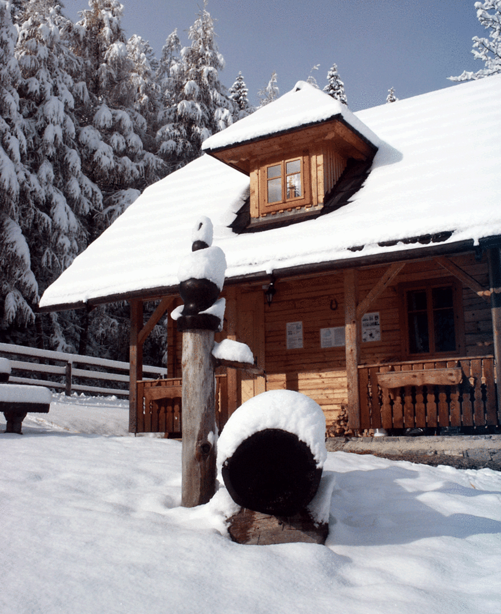 Köhlerhütte Winter